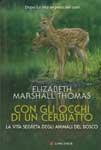 Con gli occhi di un cerbiatto